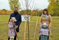 Проект "Парк семейных деревьев"
