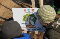 Аллея семейных деревьев появилась в Могилеве