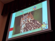 Интеллектуальный турнир «Филин» в Могилевском институте МВД