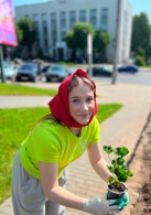 Областной проект БРСМ на лучшую цветочную клумбу «Цвети, Великий май! Символ Победы в цветах»