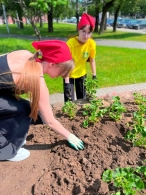 Областной проект БРСМ на лучшую цветочную клумбу «Цвети, Великий май! Символ Победы в цветах»