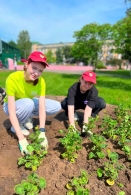 Областной проект БРСМ на лучшую цветочную клумбу «Цвети, Великий май! Символ Победы в цветах»