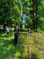 Неравнодушные объединяют усилия для восстановления парка Подниколье после стихии