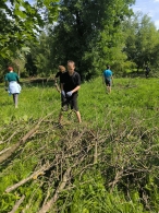 Неравнодушные объединяют усилия для восстановления парка Подниколье после стихии