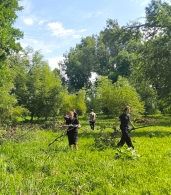 Неравнодушные объединяют усилия для восстановления парка Подниколье после стихии