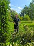 Неравнодушные объединяют усилия для восстановления парка Подниколье после стихии