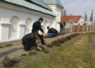 Волонтеры вперед!!!