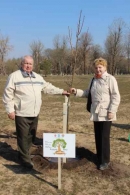 Аллея семейных деревьев появилась в Могилеве