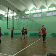 Товарищеский матч по волейболу