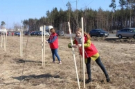 Студенты Белорусско-Российского университета взялись #ЗаДело