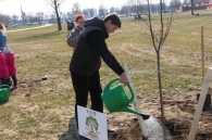 Аллея семейных деревьев появилась в Могилеве