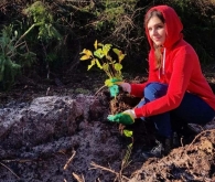 Акция по посадке деревьев