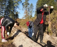 Акция по посадке деревьев