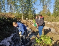 Акция по посадке деревьев