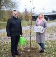 Проект "Парк семейных деревьев"