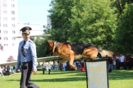 Праздник детства