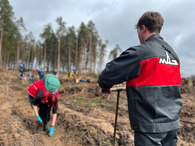 «Зелёный старт»: молодые специалисты Могилёва вместе с союзной молодежью высадили сеянцы в рамках акции «Лес! Дабро! Парадак!»