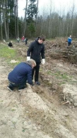 Экологическая добровольная акция «Неделя леса-2017»