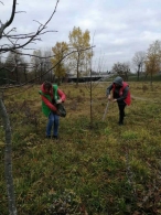 Благоустройство аллеи семейных деревьев