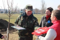 Аллея семейных деревьев появилась в Могилеве