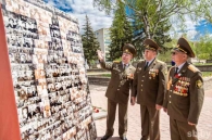 В Могилеве собрали панно из 500 снимков ветеранов и участников войны — их предоставили близкие героев