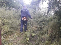 Акция Могилевского ГК ОО «БРСМ» «#Разам з моладдзю»