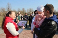 Аллея семейных деревьев появилась в Могилеве