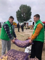 Волонтёры БРСМ — на сельскохозяйственных ярмарках!