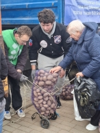 Волонтёры БРСМ — на сельскохозяйственных ярмарках!