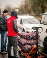 Волонтёры БРСМ — на сельскохозяйственных ярмарках!