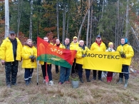 Молодость в деле!