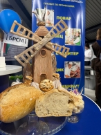 Могилёвский этап «100 идей для Беларуси»: рекорд по числу проектов и яркие инновации молодёжи