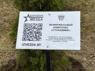 ЦВЕТЫ ВЕЛИКОЙ ПОБЕДЫ: ПАМЯТЬ, КОТОРУЮ МЫ ХРАНИМ ДЕЛОМ