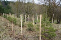 Республиканский субботник в Могилёве: Молодёжь выбирает конкретные дела!