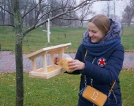 Кормушки для птиц появились в Подникольском парке Могилева
