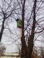 Республиканская акция «Прилетайте в Беларусь!»