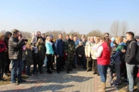 Аллея семейных деревьев появилась в Могилеве