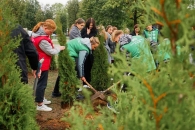 Аллею единства и мира высадили в Могилеве