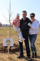 Аллея семейных деревьев появилась в Могилеве